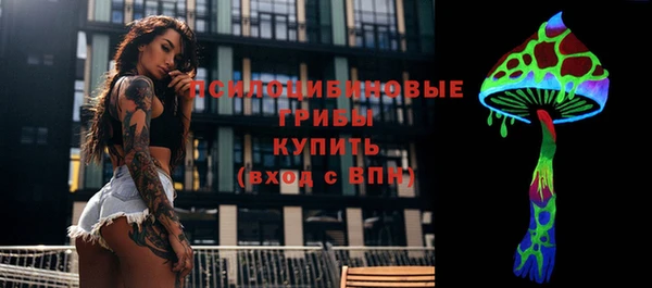 МДПВ Арсеньев