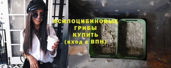 МДПВ Арсеньев