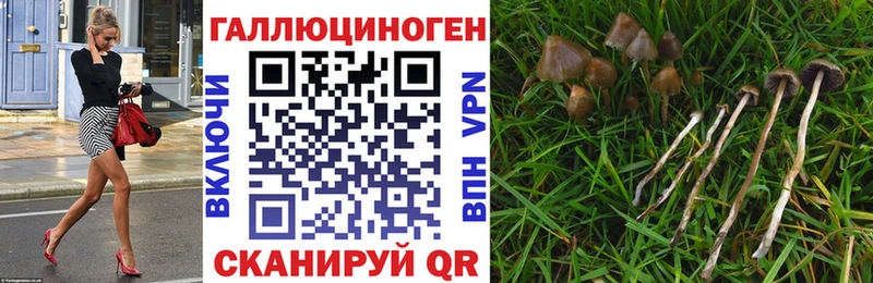 Псилоцибиновые грибы GOLDEN TEACHER Любань